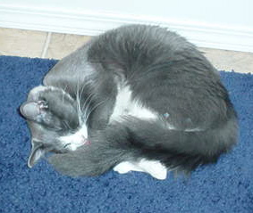 DSC00496_1 (37k image)