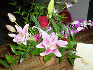 DSC00543_1 (15k image)